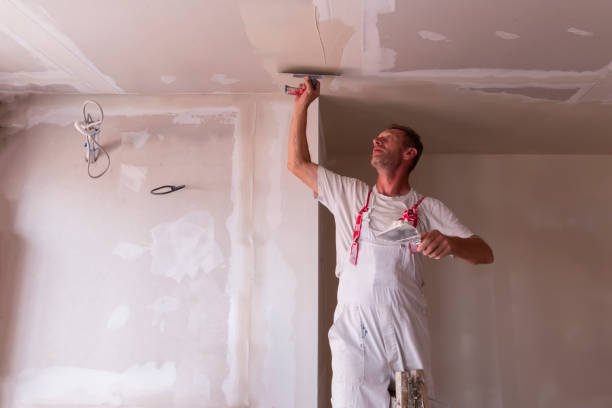 Best Drywall Sanding and Smoothing  in Tangerine, FL